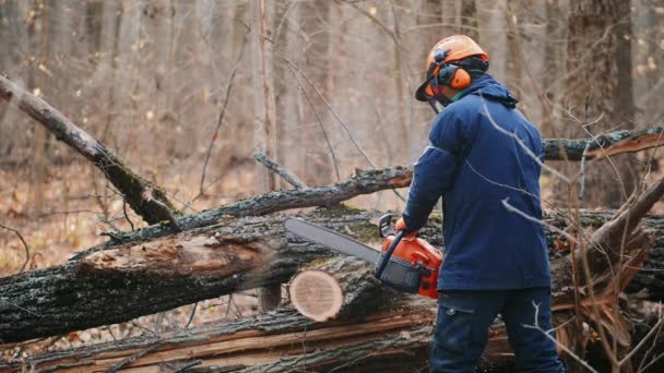 Cutting through wood with chainsaw in slow motion - Footage, Video