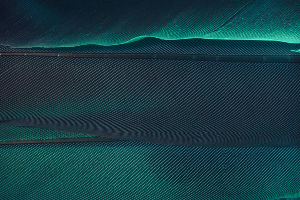 Close up Bella Aqua Menthe Uccello piuma sfondo texture. Macro vista fotografica
.  - Foto, immagini