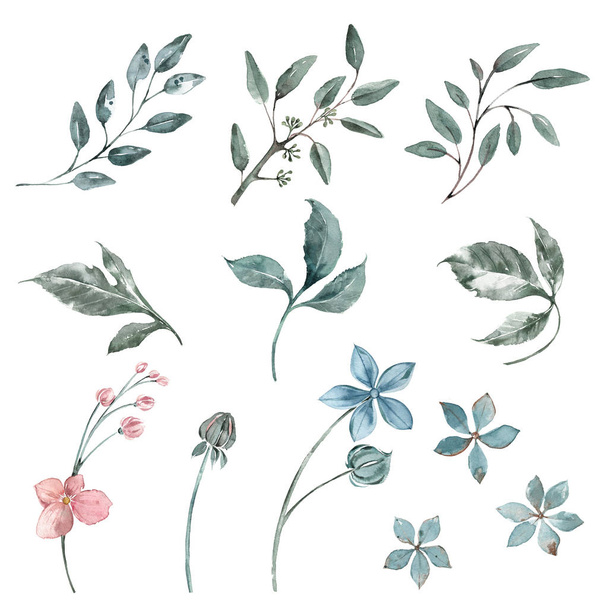 Conjunto de elementos de acuarela de ramita de eucalipto, flores pequeñas suavemente azul y melocotón. Decoración de la boda
. - Foto, imagen