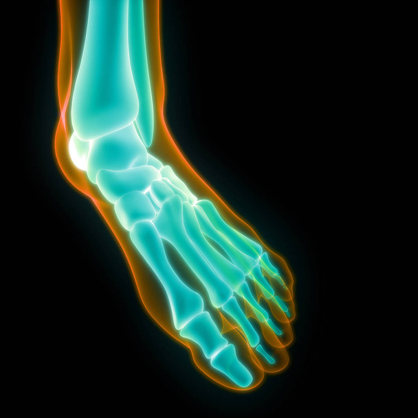 Pijn in de gewrichtspijn van het menselijk lichaam (voetgewrichten en botten). 3D - Illustratie - Foto, afbeelding