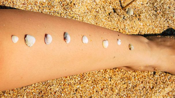 Shells on leg on sand background. Summer vacation resort - Photo, Image