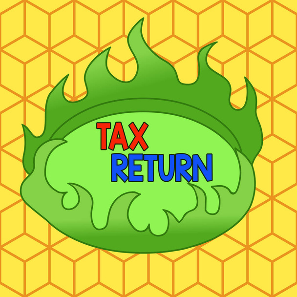 Word writing text Tax Return. Business concept for Tax payer financial information Tax Liability and Payment report Asymmetrical uneven shaped format pattern object outline multicolour design. - Photo, Image
