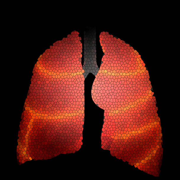 Anatomie van het menselijk ademhalingssysteem. 3D  - Foto, afbeelding
