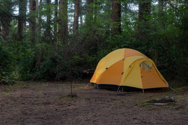 Acampar em Humboldt County
 - Foto, Imagem