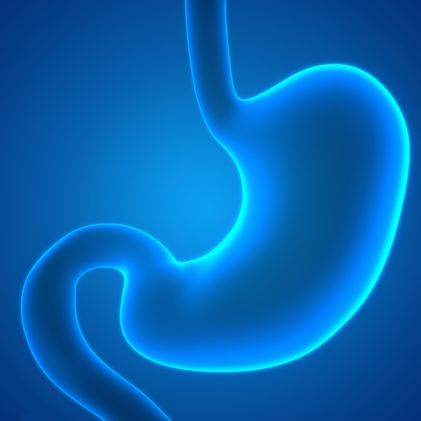 Anatomía del sistema digestivo humano. 3D - Foto, imagen