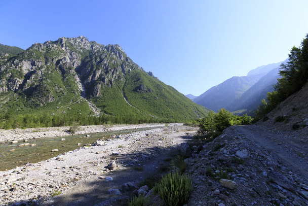 Krajobraz górski z zielonymi lasami i czystymi rzekami w północnych Alpach Dynarskich w Albanii - Zdjęcie, obraz