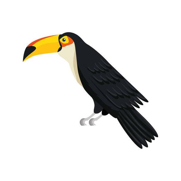 toucan ζώο εξωτικό απομονωμένο εικονίδιο - Διάνυσμα, εικόνα