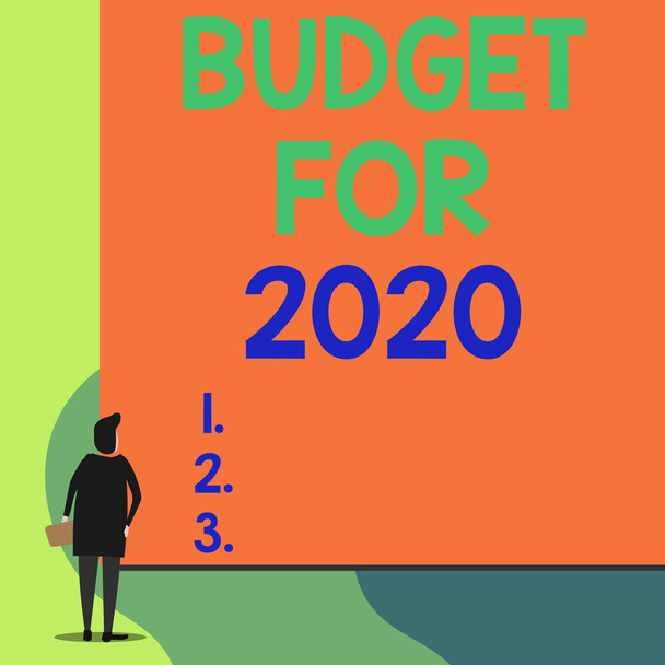 Writing note showing Budget For 2020. Business photo showcasing An written estimates of income and expenditure for 2020 Back view young woman watching blank big rectangle. - 写真・画像