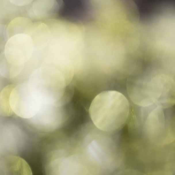 Background made of blurred sparkles - Φωτογραφία, εικόνα