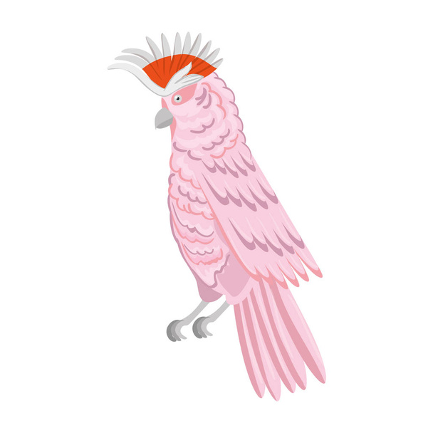 papegaai roze dier exotisch geïsoleerd pictogram - Vector, afbeelding
