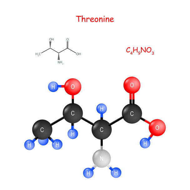 Threonine. Chemical structural formula and model of molecule. - Vector, Image