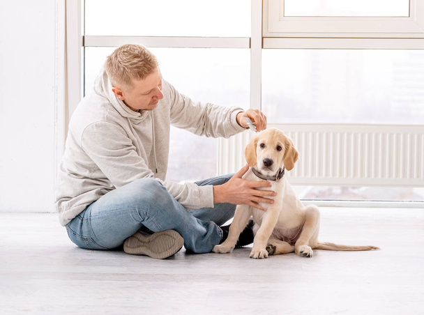 Man combing retriever dog - Fotoğraf, Görsel
