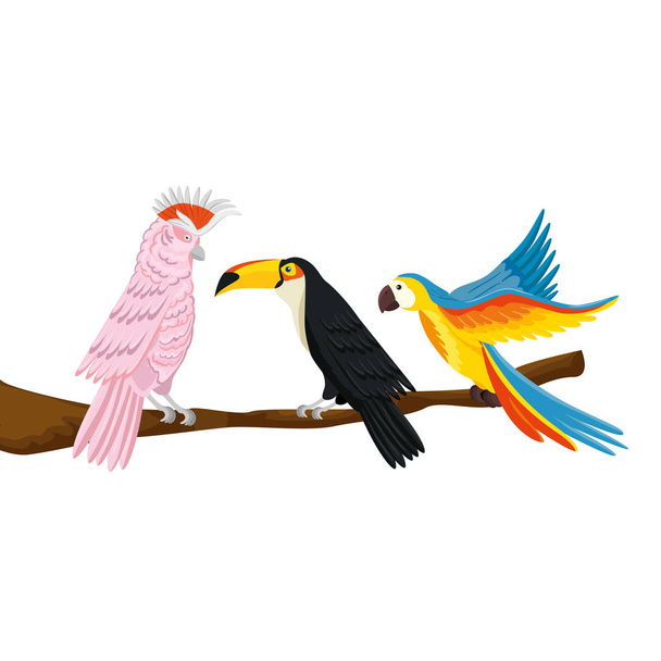 Papageien mit Tukan auf Zweig isoliert Symbol - Vektor, Bild