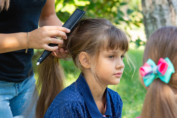 Дівчина на природі розчісує волосся з дівчиною
 - Фото, зображення