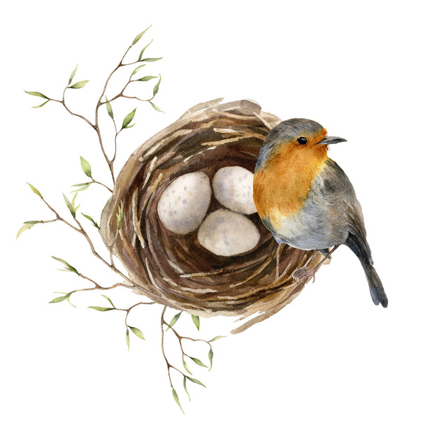 Watercolor easter card with bird and nest. Hand painted spring nest with eggs, feathers and branch isolated on white background. Holiday wildlife illustration for design, print or background. - Valokuva, kuva