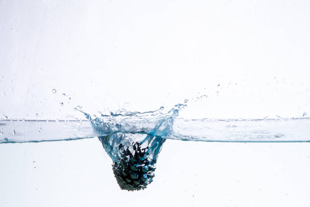 Water Splash Photography: een coniferen kegel die in het water valt en een grote plons op een witte achtergrond creëert - Foto, afbeelding