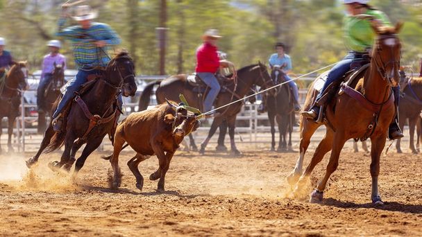 Equipo Calf Roping Competition
 - Foto, Imagen