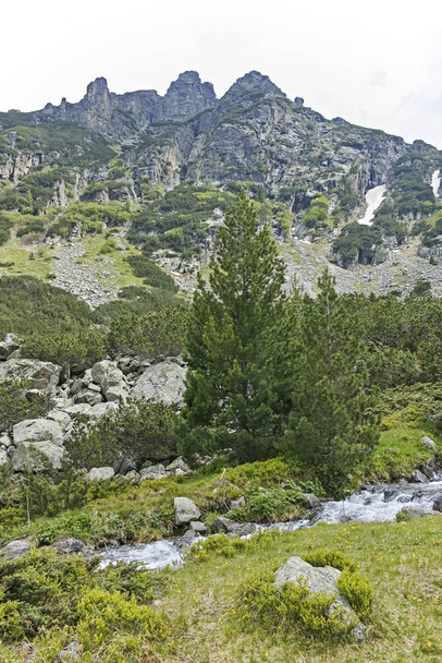 Удивительный осенний пейзаж горы Черна Гора (Монте-Негро), регион Перник, Болгария
 - Фото, изображение