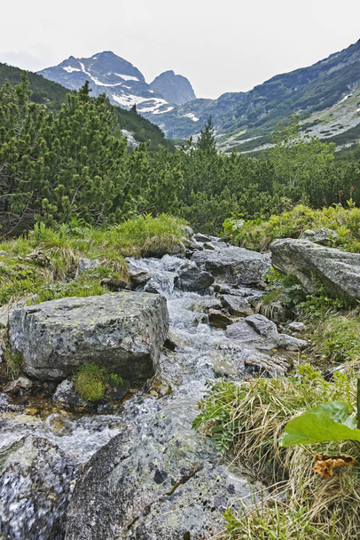wunderschöne herbstliche landschaft des berges cherna gora (monte negro), pernik region, bulgarien - Foto, Bild