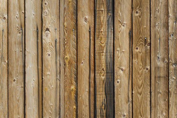 tło drewna - Zdjęcie, obraz
