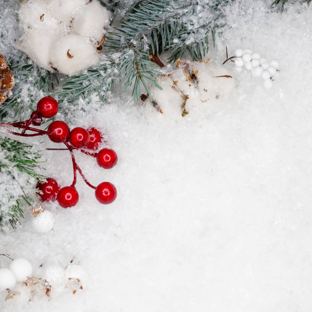 Festive winter flat lay. Snow, cones and branches of a green Christmas tree on a white background - Photo, Image