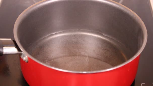 Boil water in a red saucepan with Teflon texture - Footage, Video