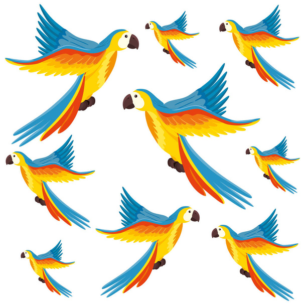 background of parrots animals exotic - Vector, Image