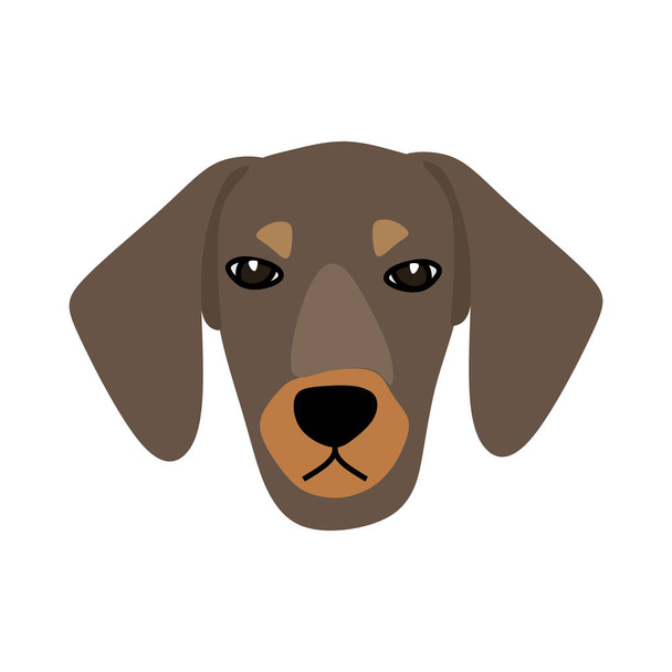 disegno e simbolo dell'icona del volto del cane. cane volto illustrazione e vettore
. - Vettoriali, immagini