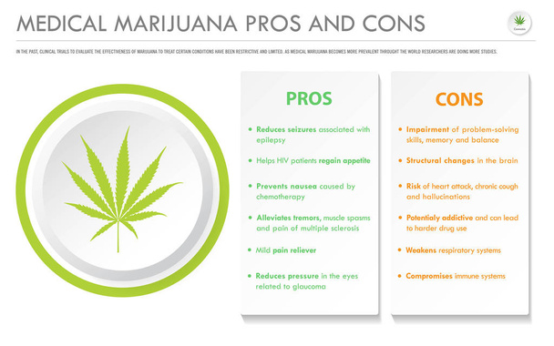 Előnyei és hátrányai orvosi marihuána horizontális üzleti infografika - Vektor, kép