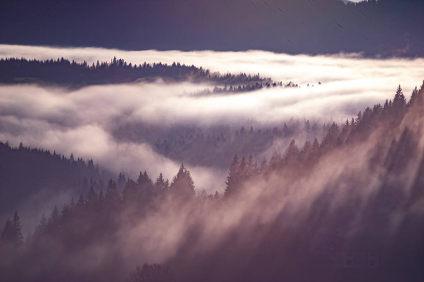 Τα Καρπάθια βουνά στα κύματα της ομίχλης - Φωτογραφία, εικόνα