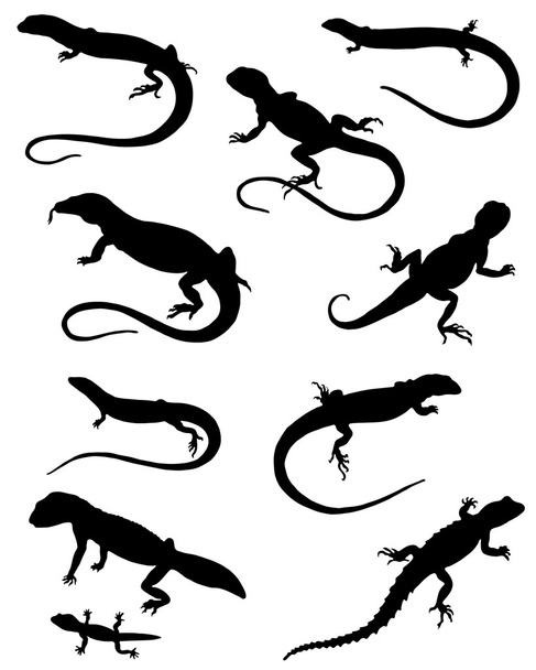 Collection of silhouettes of lizards - Vettoriali, immagini