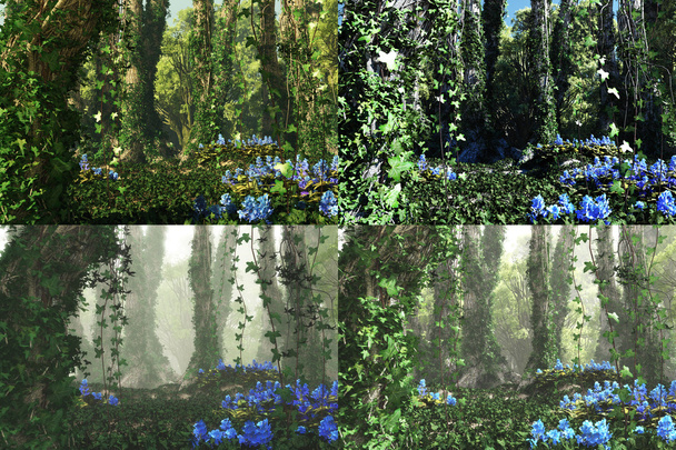 Floresta profunda, gráficos de computador 3d
 - Foto, Imagem