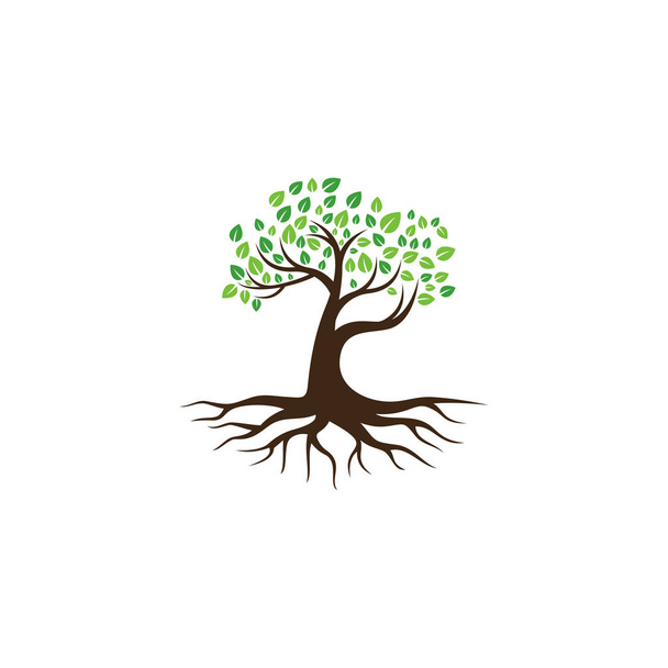 иконка вектора дерева. элементы дизайна логотипа. - Вектор,изображение