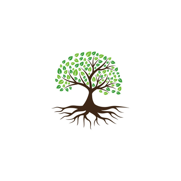 ícone de vetor de árvore. elementos de design do logotipo. - Vetor, Imagem