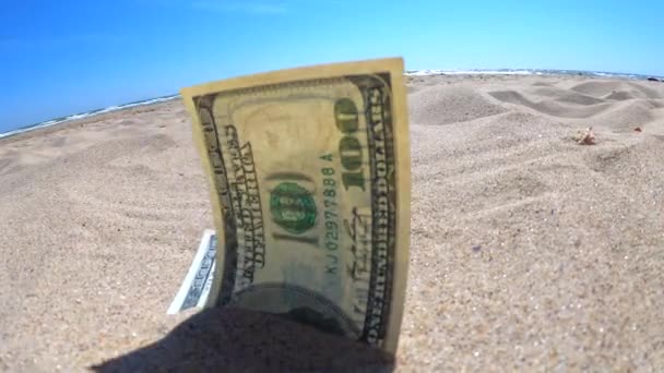 Kumsalda kumla kaplanmış paranın yarısı yakın planda duruyor.. - Video, Çekim