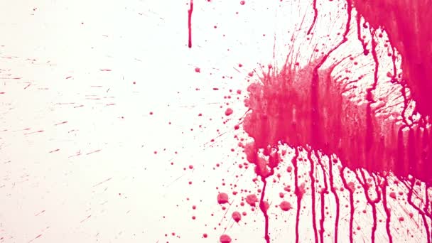 Pintura roja Salpicaduras en fondo blanco
 - Imágenes, Vídeo