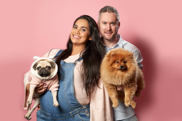 Smiling pregnant girl and man hold dogs on hands on pink background - Foto, Imagem
