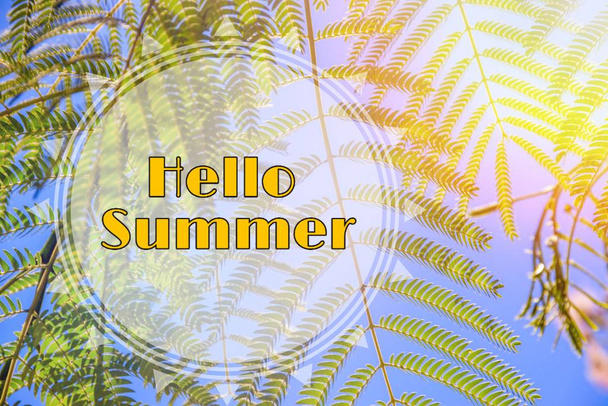 Banner Hallo zomer met palmtakken  - Foto, afbeelding