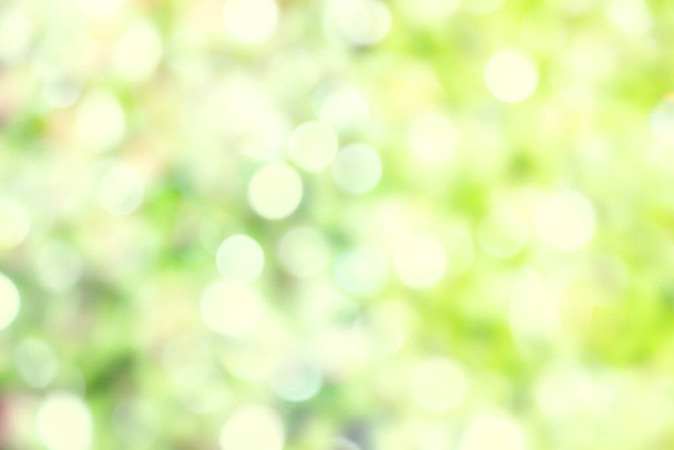 Bokeh blanc abstrait et éclairage réfléchissant flou des feuilles vertes fond
. - Photo, image