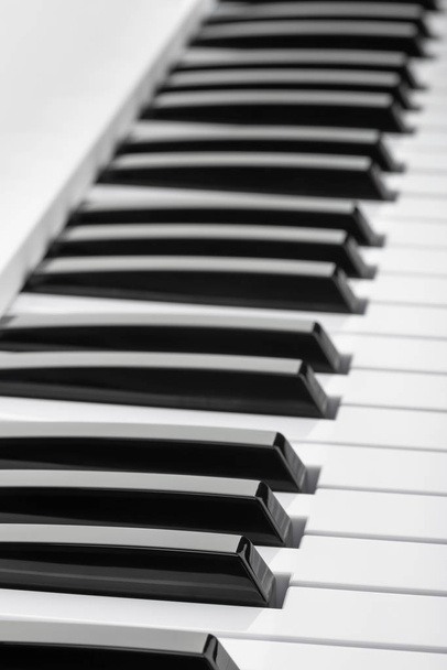 Teclas em preto e branco de um teclado de música
 - Foto, Imagem