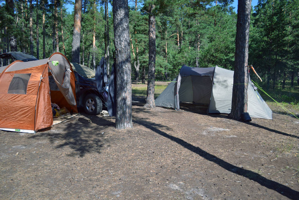 Due tende al campeggio in una pineta sulla riva del lago
 - Foto, immagini
