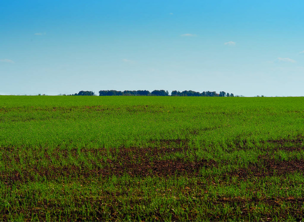 Dramatische groene boerderij veld landschap achtergrond - Foto, afbeelding