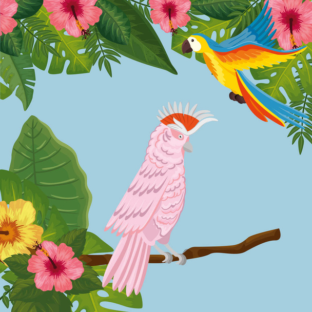 papugi z kwiatami i liśćmi tropikalnymi - Wektor, obraz