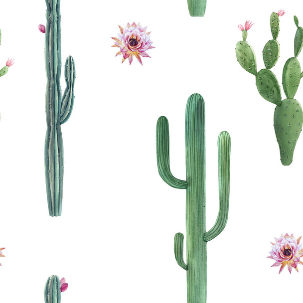 Beautiful watercolor cactus seamless pattern. Hand drawn stock illustrations. White background. - Photo, Image