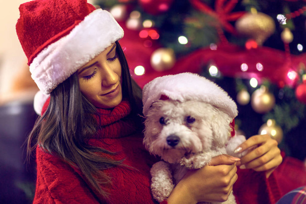 собака в капелюхах Санта на різдвяний подарунок
. - Фото, зображення