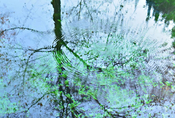 Blick auf Bäume, die sich im Wasser eines Teiches spiegeln, natürliches Aquarell - Foto, Bild