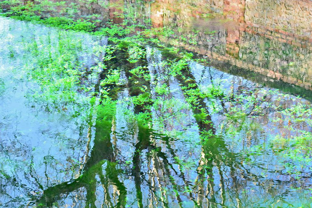 Bir gölün suyuna yansıyan ağaçların görüntüsü, doğal suluboya - Fotoğraf, Görsel