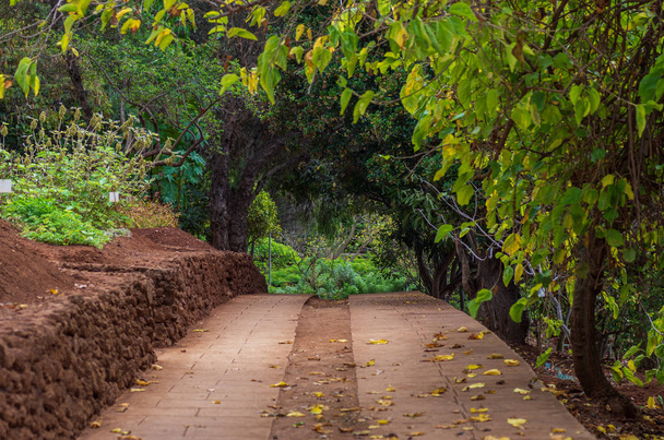 Footpath in the Botanical Garden - Photo, Image