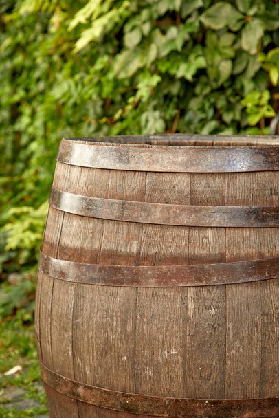 old wine barrel in garden at sunny daytime - Photo, Image