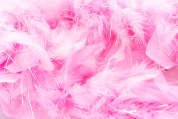 Pink feathers - Foto, afbeelding